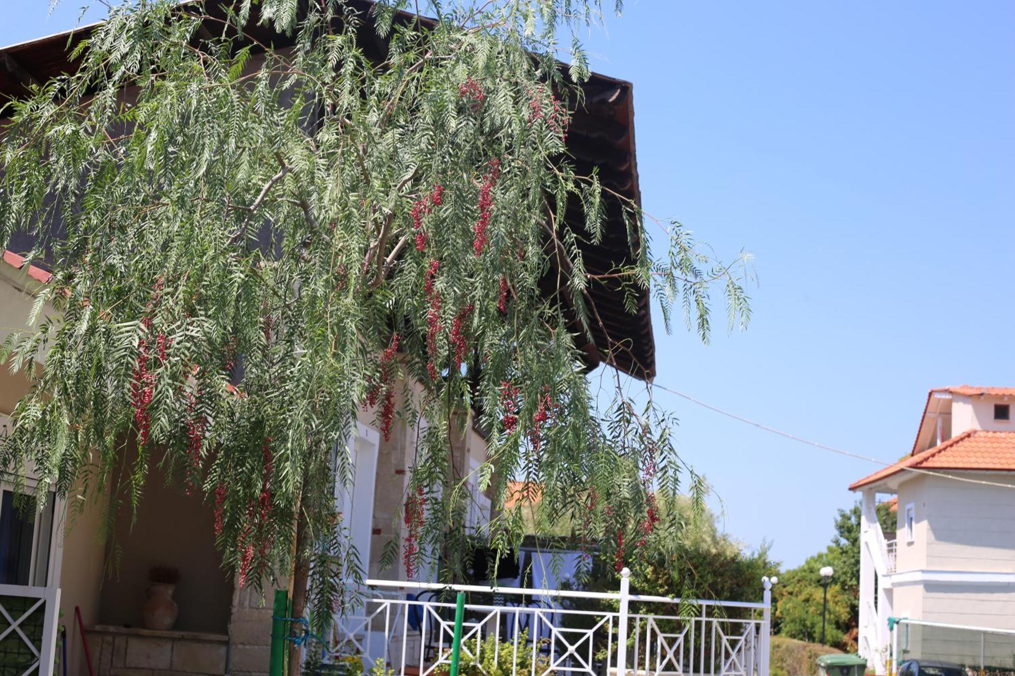 Golden Residence Family Resort Pefkochori Eksteriør bilde